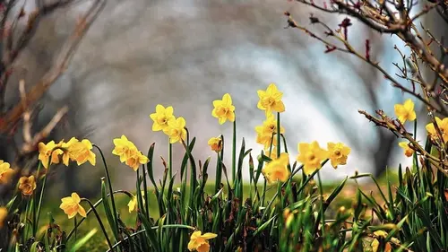 Быстрое потепление и грозы? Синоптики объяснили, каким может быть апрель в Украине