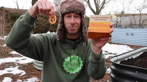 Блогер посадил семена помидоров из бургера: то, что выросло, стал...