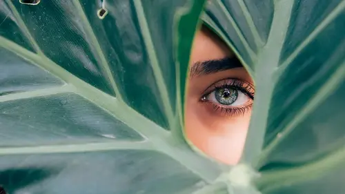 Не только морковь: перечислены 8 самых полезных продуктов для здоровья глаз