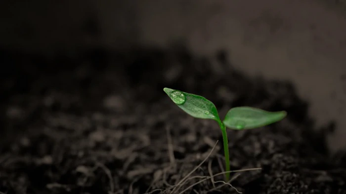 Суперкомпьютер NASA назвал приблизительную дату конца жизни на Земле