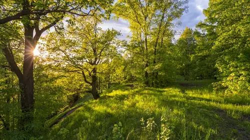 Май в Украине будет холоднее обычного, — синоптики