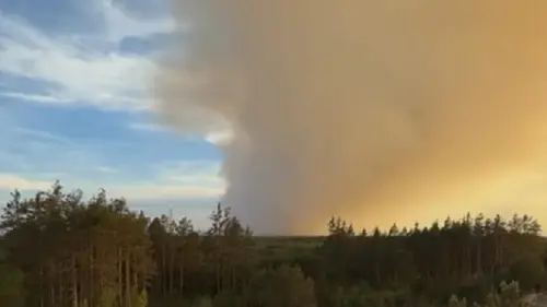В Польше во время тушения лесного пожара разбился самолет
