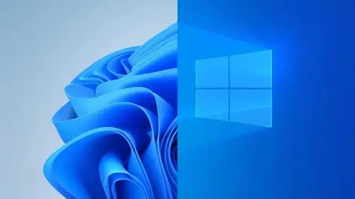 «Десятка» вже не топ: названо найпопулярніші версії Windows у світі та Україні