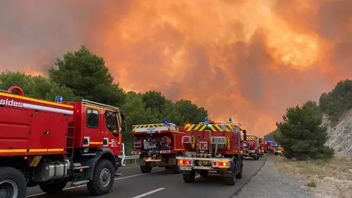 Во Франции огонь уничтожил около 930 гектаров леса