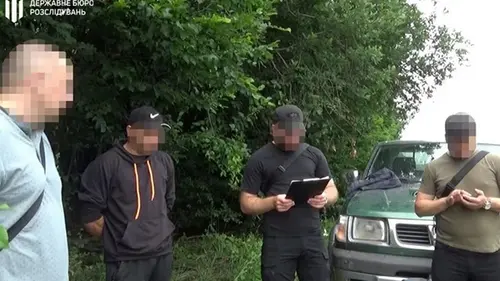 Незаконная вырубка леса в Медоборах: пни маскировали землей и вет...