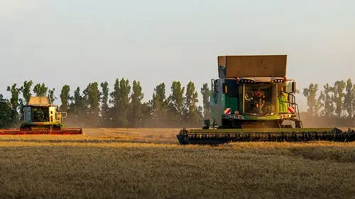 Украина увеличила экспорт зерна более чем на 50%