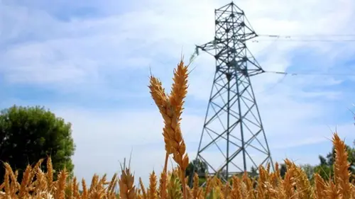 Экспорт электроэнергии из Украины вырос на 64%: куда поставляли б...