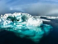 В Арктике зафиксировали самую высокую за 115 лет среднюю температуру
