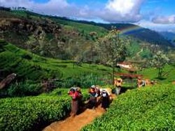 Незабываемый отдых в Шри-Ланке