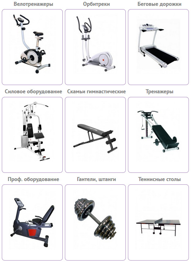 спортивный интернет магазин